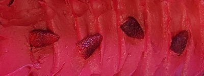 Cascada - Erdbeer Sorbet