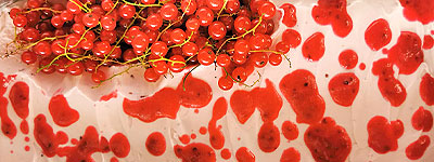 Cascada - Joghurt Johannisbeere